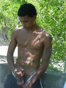 76373 - Black Cock Gallery