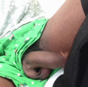 77728 - Black Cock Gallery