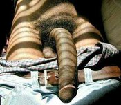 78793 - Black Cock Gallery