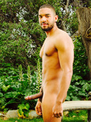 78890 - Black Cock Gallery