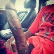 79040 - Black Cock Gallery