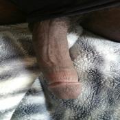 79049 - Black Cock Gallery