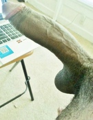 79518 - Black Cock Gallery