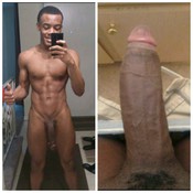 79952 - Black Cock Gallery