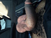 80390 - Black Cock Gallery