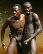 80534 - Black Cock Gallery