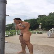 80865 - Black Cock Gallery