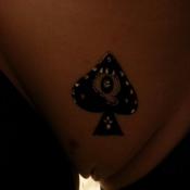 81170 - Black Cock Gallery