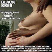 81421 - Black Cock Gallery