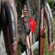 82351 - Black Cock Gallery