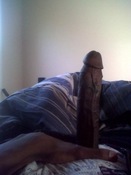 90120 - Black Cock Gallery