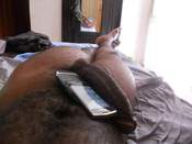 93789 - Black Cock Gallery