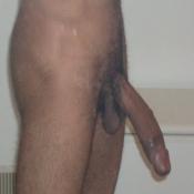 952 - Black Cock Gallery