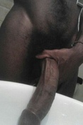 96953 - Black Cock Gallery