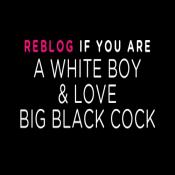 98109 - Black Cock Gallery