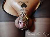 98170 - Black Cock Gallery