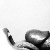 98865 - Black Cock Gallery