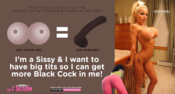 102855 - Black Cock Gallery