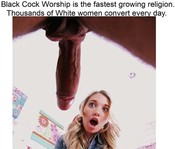 104966 - Black Cock Gallery
