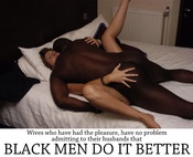 105268 - Black Cock Gallery