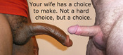106270 - Black Cock Gallery