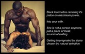 106853 - Black Cock Gallery