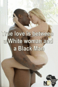 107217 - Black Cock Gallery