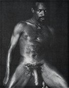 111949 - Black Cock Gallery
