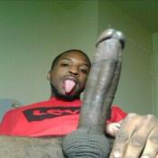 112754 - Black Cock Gallery