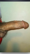 113160 - Black Cock Gallery