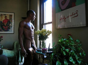 114926 - Black Cock Gallery