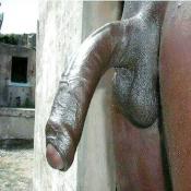 116637 - Black Cock Gallery