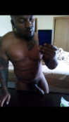117485 - Black Cock Gallery