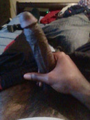 117849 - Black Cock Gallery
