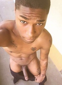 118081 - Black Cock Gallery