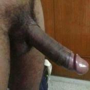 119101 - Black Cock Gallery