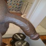 119409 - Black Cock Gallery
