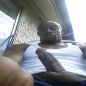 121873 - Black Cock Gallery
