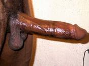 122688 - Black Cock Gallery