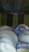 123046 - Black Cock Gallery