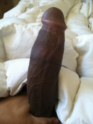 124499 - Black Cock Gallery