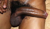 124853 - Black Cock Gallery