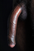 125469 - Black Cock Gallery