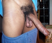 128343 - Black Cock Gallery