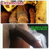 128439 - Black Cock Gallery
