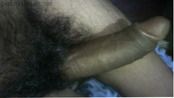 128702 - Black Cock Gallery