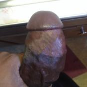 130675 - Black Cock Gallery