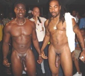 134895 - Black Cock Gallery