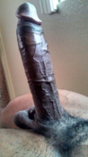 135018 - Black Cock Gallery