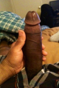 137434 - Black Cock Gallery